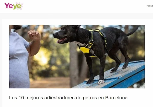 Top_10_Mejores_adiestradores_de_Barcelona