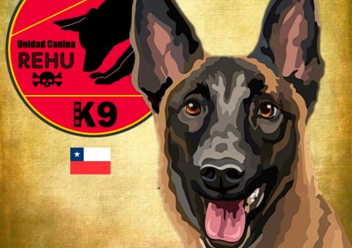 Unidad Canina REHU – HRD Nuevo Colaborador