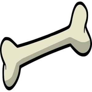 Consejos para educar a un perro