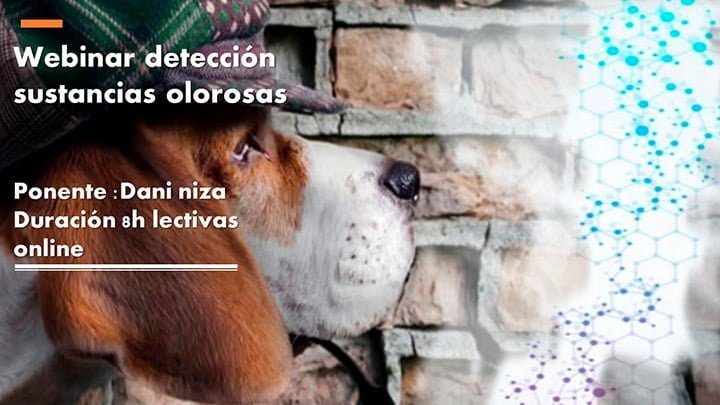 carteles