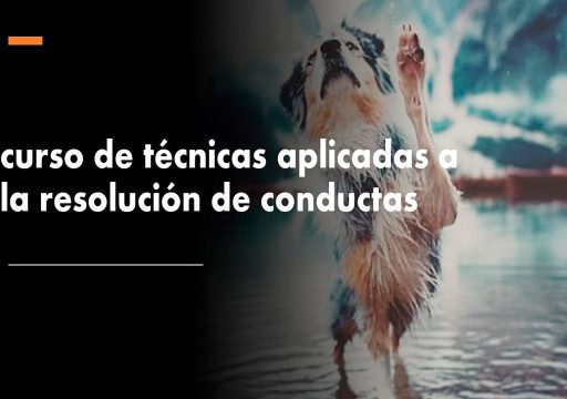 Éxito del Curso Realizado: Técnicas Modificación de Conducta