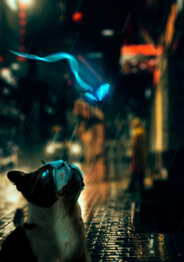 Enriquecimiento ambiental