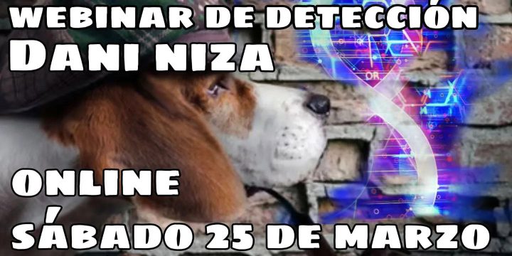 Primer Webinar de detección canina
