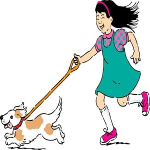 Consejos para educar a un perro