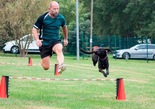 Cómo Mejorar la Vida de tu Perro