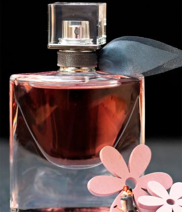 Perfumes intensos, olor que odian los perros