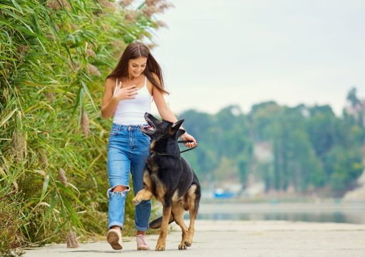 Entender cómo el entorno afecta el comportamiento de tu perro
