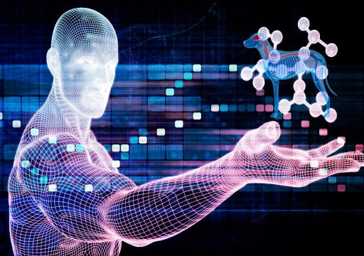 El Análisis de la Conducta en Perros