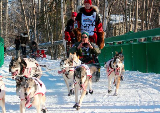 Enriquecimiento ambiental