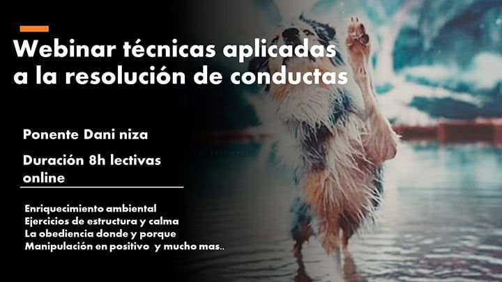 Webinar técnicas aplicadas a la resolución de conductas