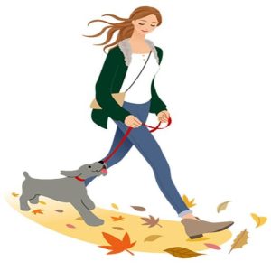 Consejos para educar a un perro